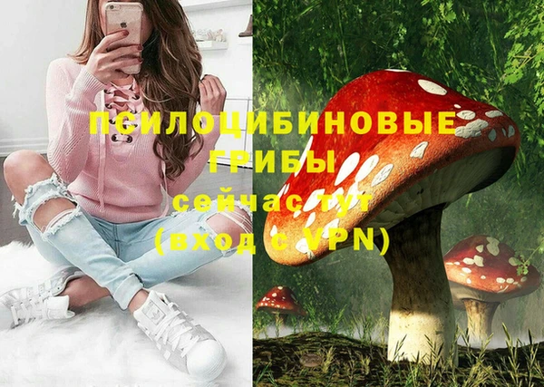 стаф Беломорск