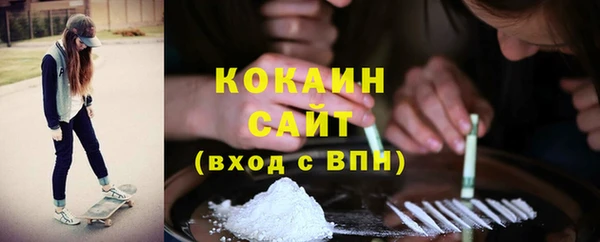 mdpv Богородицк
