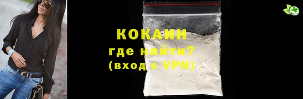 гашик Белокуриха