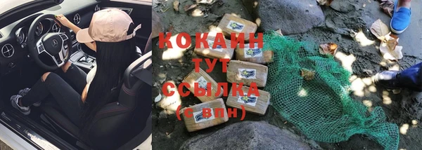 гашик Белокуриха