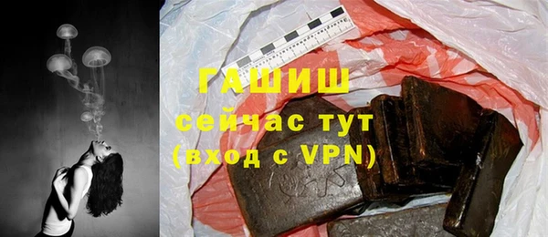 гашик Белокуриха