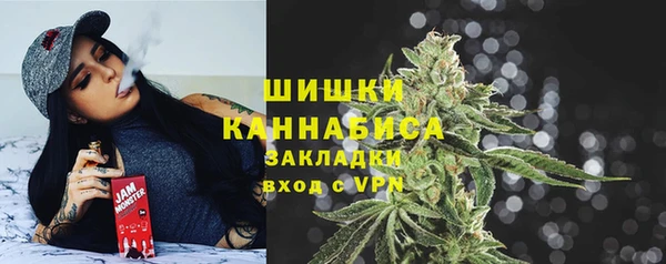 дурь Богданович
